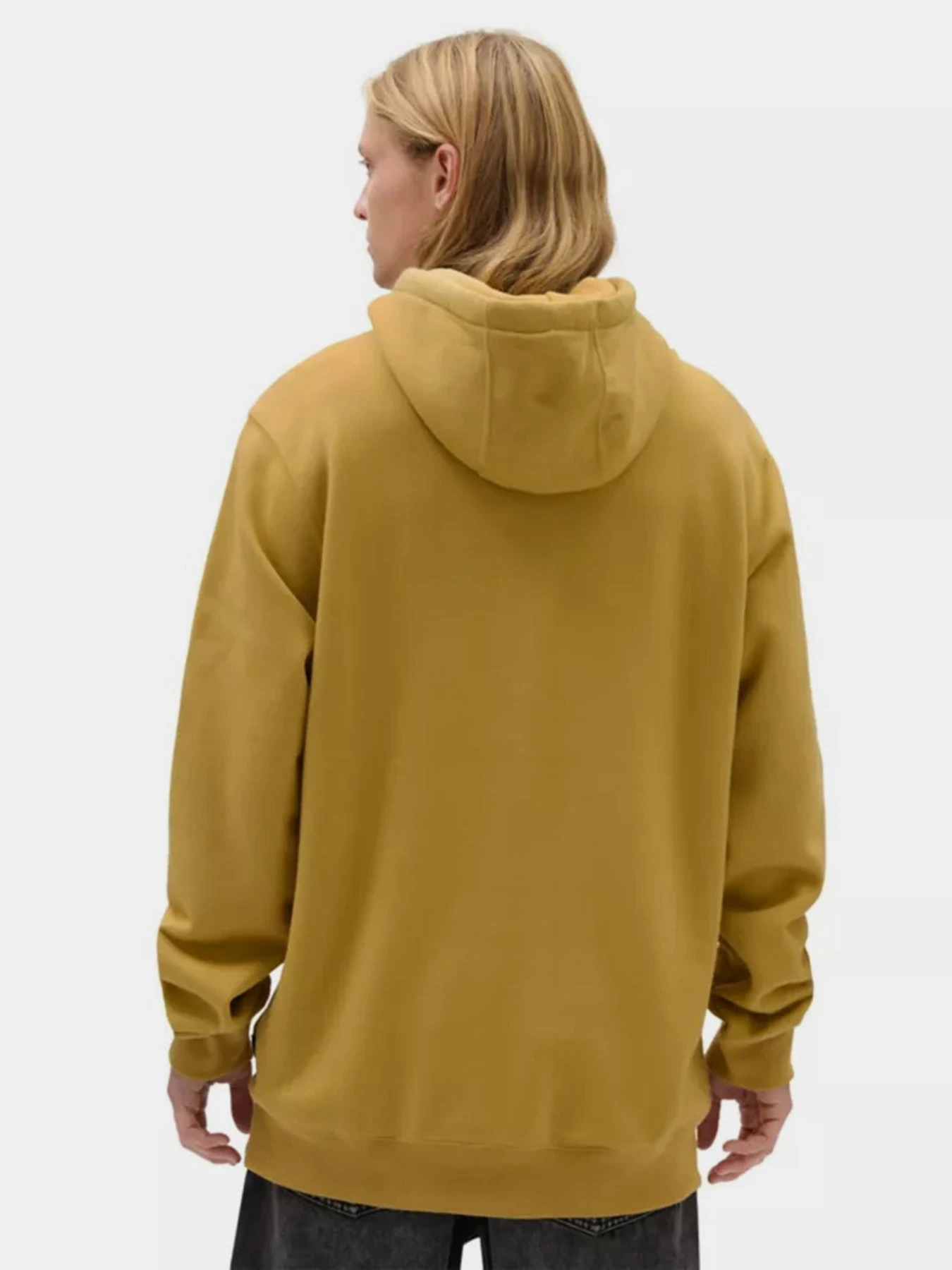 Худі та світшоти Vans Arched Po модель VN000G0N5QJ1 Фото