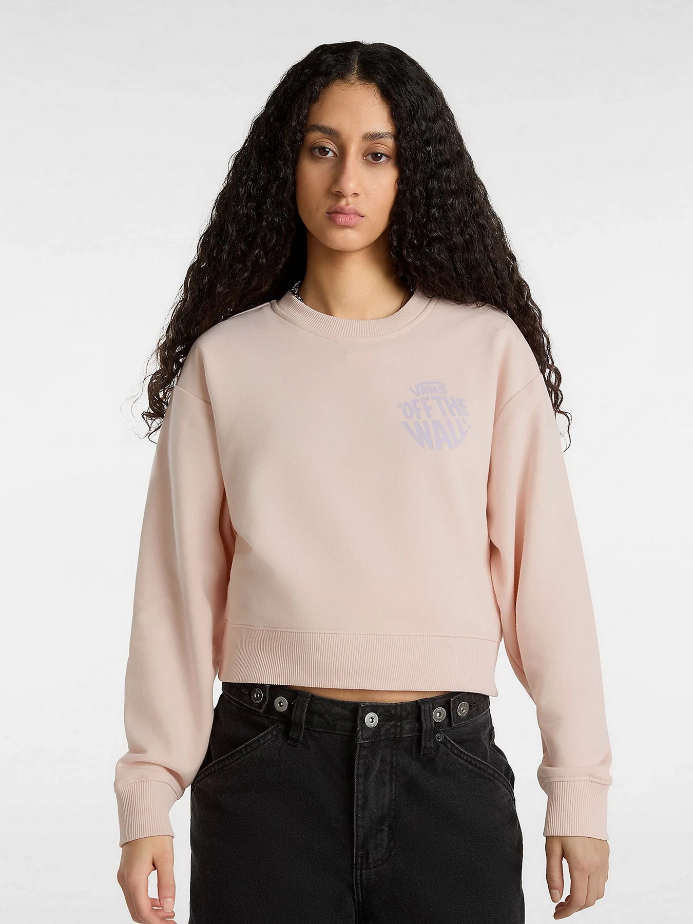 Худи и свитшоты Vans Circle Crop Crew модель VN000JDPCHN1 Худи и свитшоты Vans Circle Crop Crew модель VN000JDPCHN1 Фото