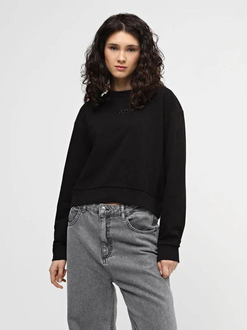 Худі та світшоти Vans Essential Ft Rlx Crew модель VN000JF5BLK1 Фото