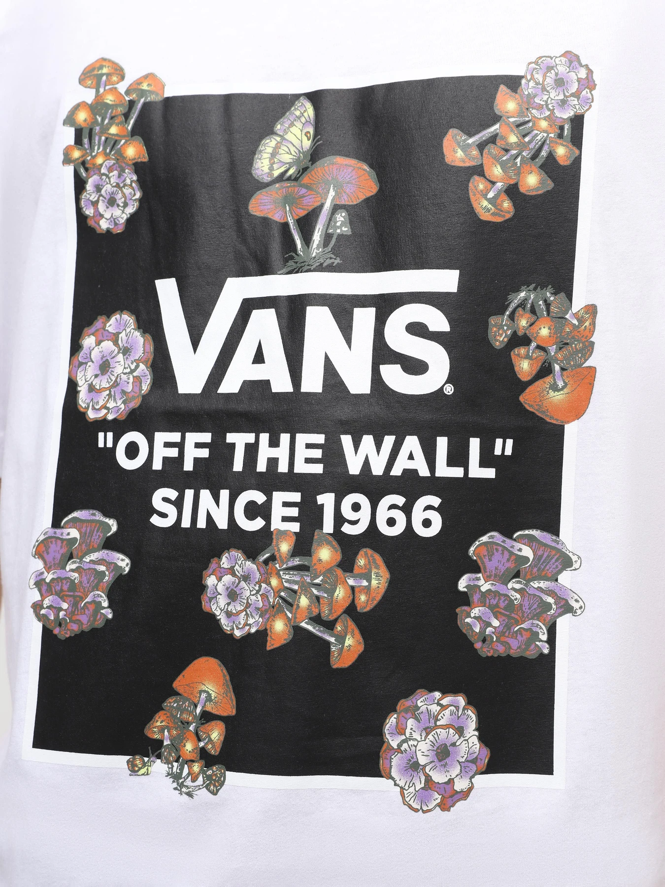 Футболки и поло Vans Fungi Box модель VN000FJGWHT1 Футболки и поло Vans Fungi Box модель VN000FJGWHT1 Фото