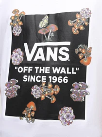 Футболки и поло Vans Fungi Box модель VN000FJGWHT1 Фото