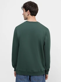 Худі та світшоти Vans Classic Crew-B модель VN0A7Y3UC411 Фото