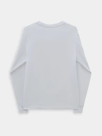 Худі та світшоти Vans Watr Colrd Box BFF модель VN000FG6WHT1 Фото