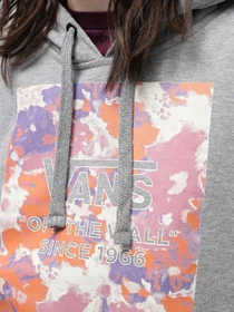 Худи и свитшоты Vans Watr Colrd Fleece-B модель VN000FRWGRH1 Фото