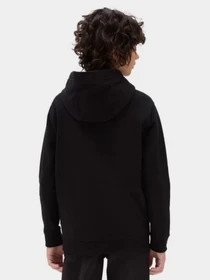 Худи и свитшоты Vans Classic Fz модель VN0008C9BLK1 Фото