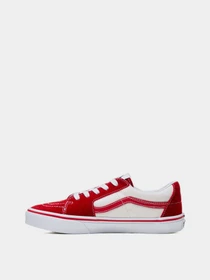 Кеды Vans SK8-Low модель VN0A5EE4CIS1 Фото