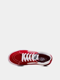 Кеды Vans SK8-Low модель VN0A5EE4CIS1 Фото