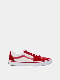 Кеды Vans SK8-Low модель VN0A5EE4CIS1 Фото