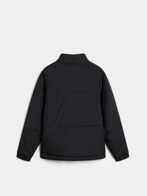 Куртки и дубленки Vans MTE Norris Puffer модель VN000JB4BLK1 Фото