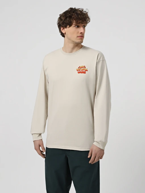 Худі та світшоти Vans Bouya Classic модель VN000KHS2N11 Фото