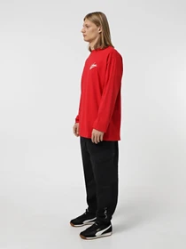 Худі та світшоти Vans Dettori Loose Fit модель VN000K6ZBOP1 Фото
