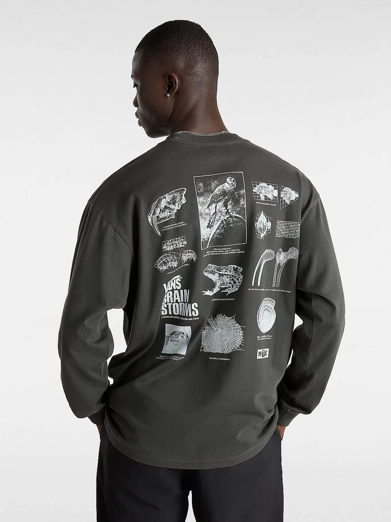 Худи и свитшоты Vans Mte Brain Storms Study Ls модель VN000JQSBLK1 Худи и свитшоты Vans Mte Brain Storms Study Ls модель VN000JQSBLK1 Фото