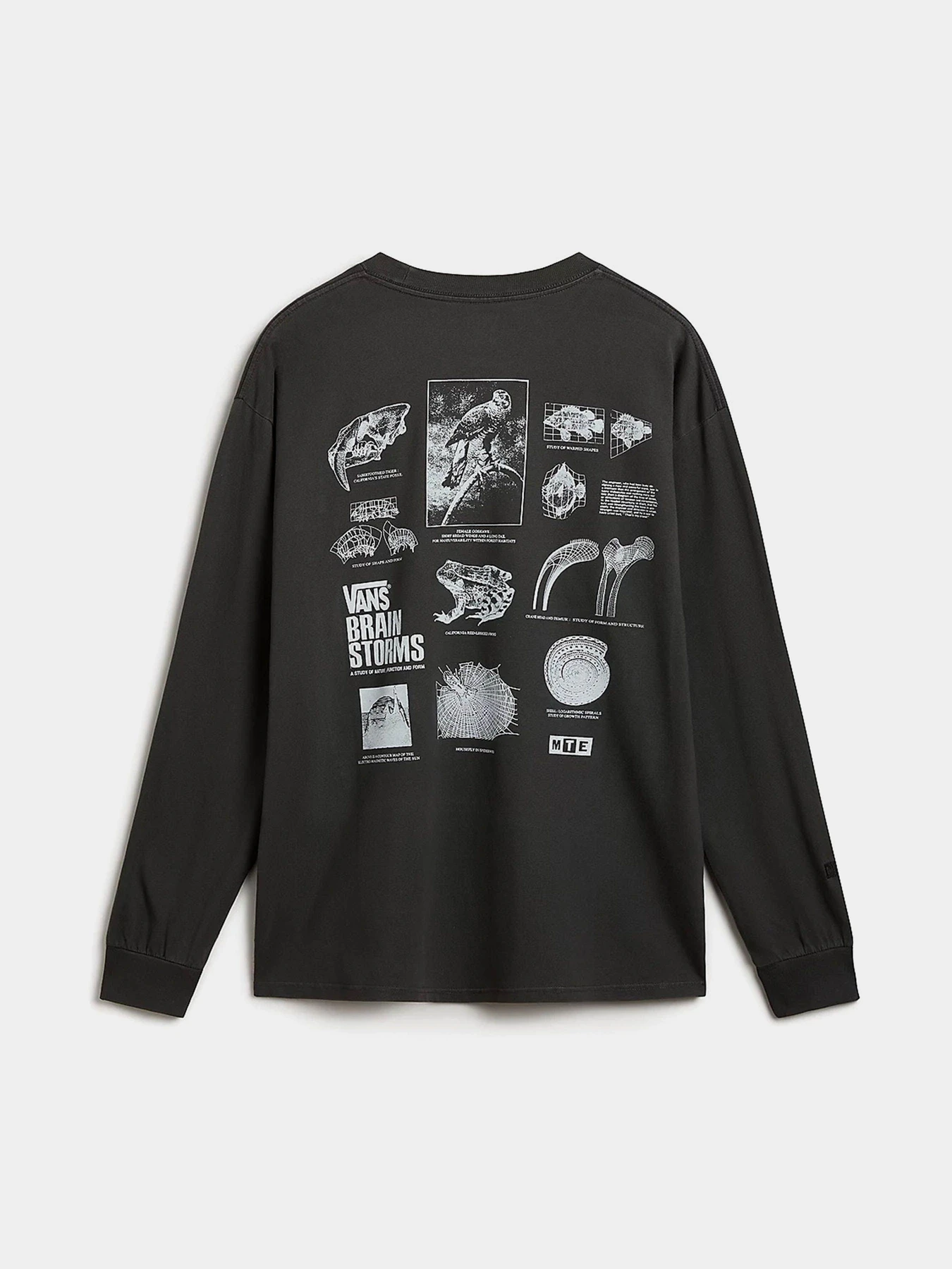 Худи и свитшоты Vans Mte Brain Storms Study Ls модель VN000JQSBLK1 Худи и свитшоты Vans Mte Brain Storms Study Ls модель VN000JQSBLK1 Фото