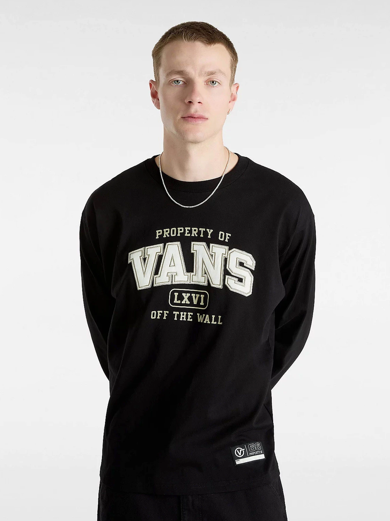 Худи и свитшоты Vans Property Of модель VN000HEUBLK1 Фото