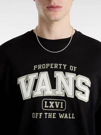 Худи и свитшоты Vans Property Of модель VN000HEUBLK1 Фото