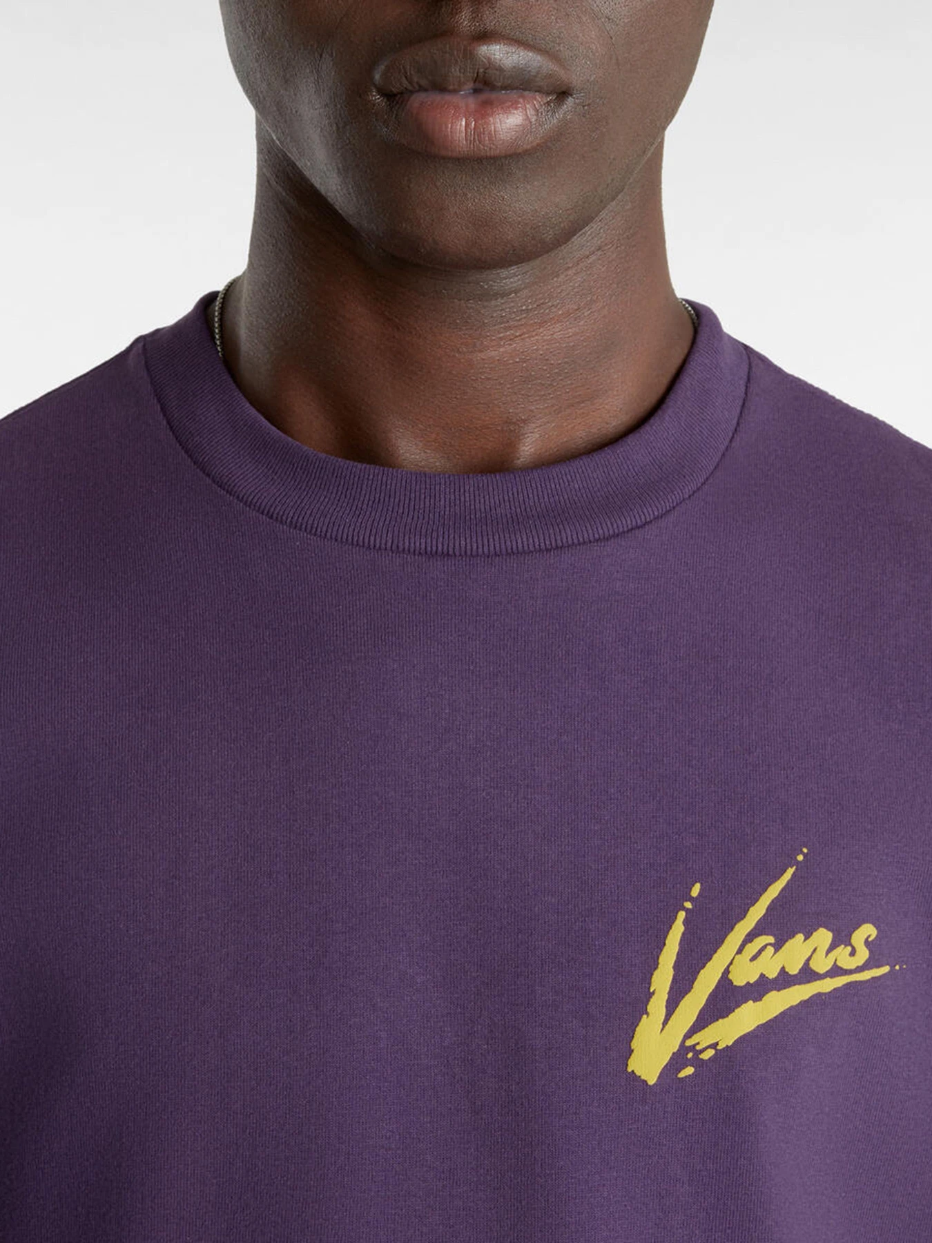Футболки и поло Vans Dettori Loose модель VN000K4211E1 Футболки и поло Vans Dettori Loose модель VN000K4211E1 Фото