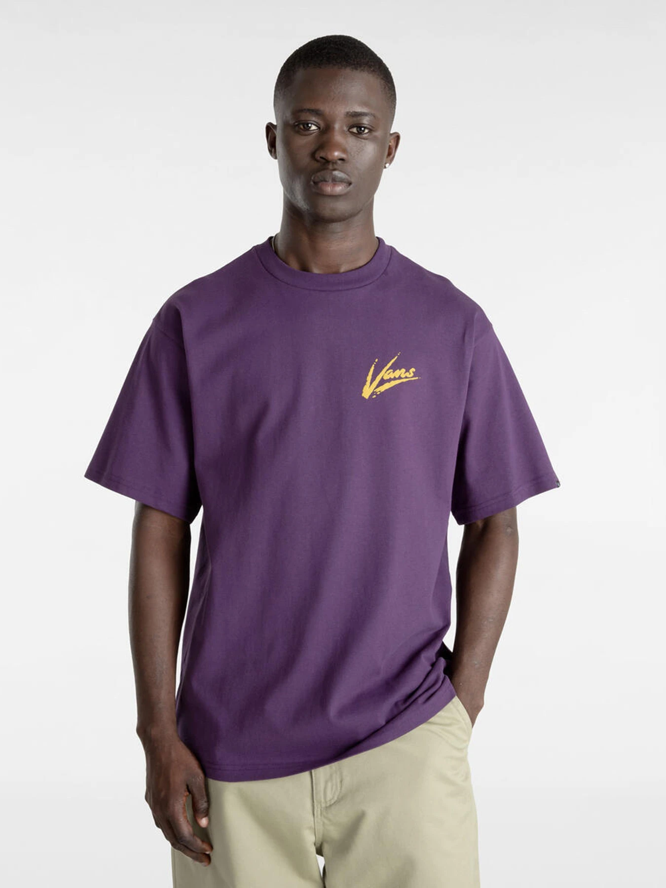 Футболки и поло Vans Dettori Loose модель VN000K4211E1 Футболки и поло Vans Dettori Loose модель VN000K4211E1 Фото