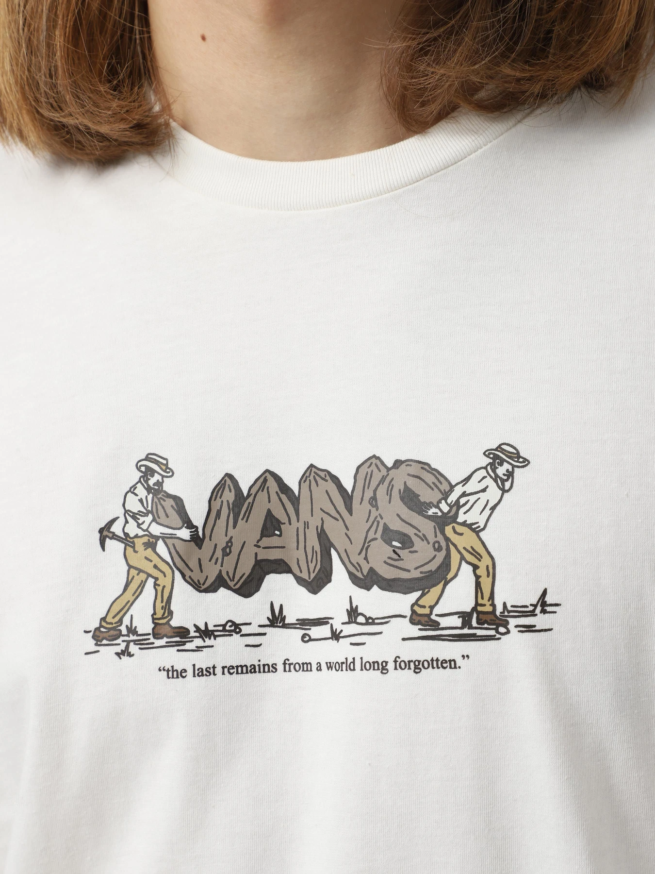 Футболки и поло Vans Last Remains модель VN000JNJFS81 Футболки и поло Vans Last Remains модель VN000JNJFS81 Фото