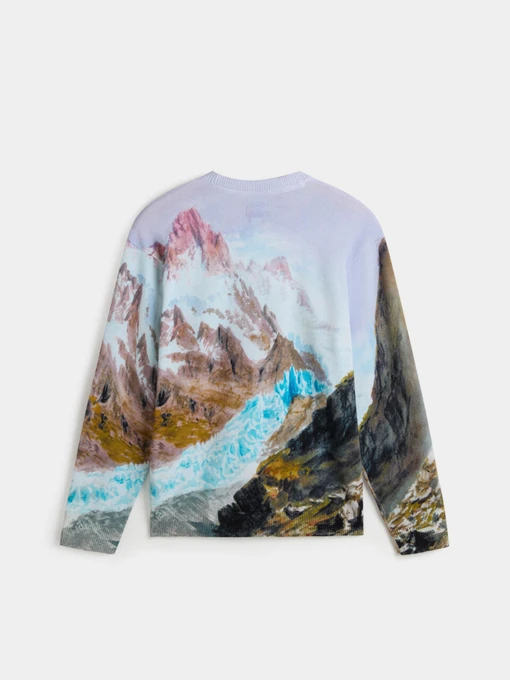 Худи и свитшоты Vans модель VN000HMFWHT1 Фото