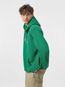 Худи и свитшоты Vans Loose модель VN000HPPJ5F1 Фото