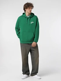 Худи и свитшоты Vans Dettori Loose модель VN000K4JJ5F1 Фото