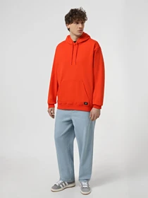 Худи и свитшоты Vans Original Standarts Loose модель VN000GE8D401 Фото