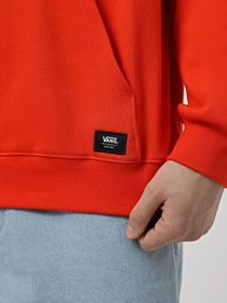 Худи и свитшоты Vans Original Standarts Loose модель VN000GE8D401 Фото