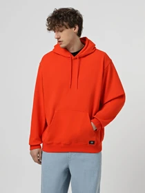 Худі та світшоти Vans Original Standarts Loose модель VN000GE8D401 Фото