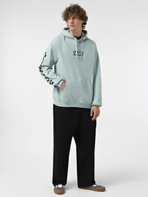 Худі та світшоти Vans Boxed модель VN000HP1M8I1 Фото