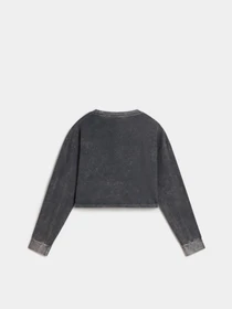 Худі та світшоти Vans Oval Wash Relax Crop модель VN000HJ5BLK1 Фото