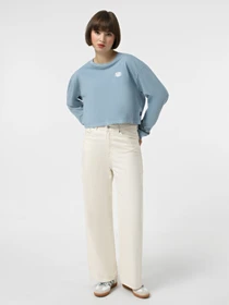 Худі та світшоти Vans Oval Wash Relax Crop модель VN000HJ5JCN1 Фото