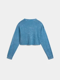 Худі та світшоти Vans Oval Wash Relax Crop модель VN000HJ5JCN1 Фото