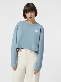 Худі та світшоти Vans Oval Wash Relax Crop модель VN000HJ5JCN1 Фото
