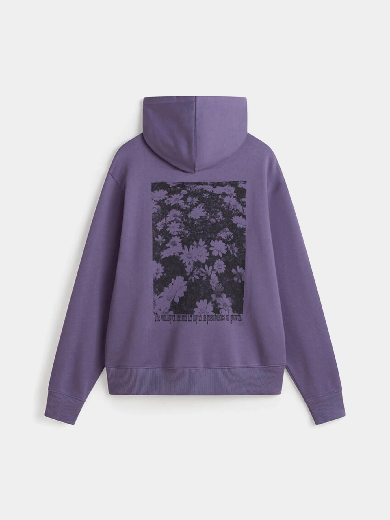 Худі та світшоти Vans Wellness Blousant Zip модель VN000HCTCIF1 Фото