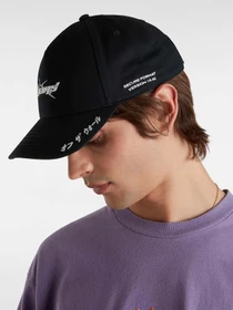 Шапки и кепки Vans Y2v Strapback модель VN000NBQBLK1 Фото