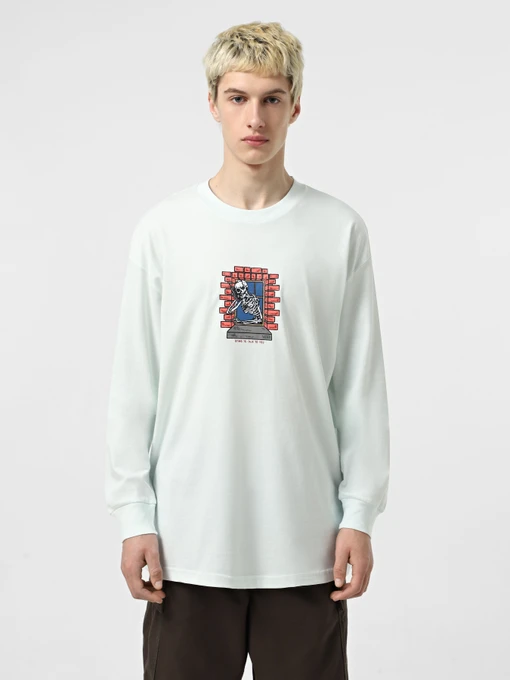 Худі та світшоти Vans Skull Window модель VN000M6WRNE1 Фото