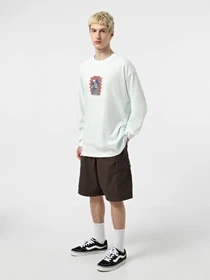Худі та світшоти Vans Skull Window модель VN000M6WRNE1 Фото
