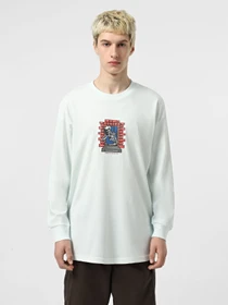 Худі та світшоти Vans Skull Window модель VN000M6WRNE1 Фото