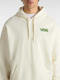 Худи и свитшоты Vans Chuckling Duo Loose Ft Po модель VN000NU4FS81 Фото