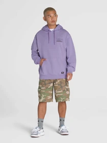 Худі та світшоти Vans Shop Front Pullover модель VN000NHR6PH1 Фото