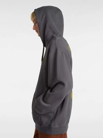 Худі та світшоти Vans Z Legacy Loose Ft Po модель VN000NWP1O71 Фото