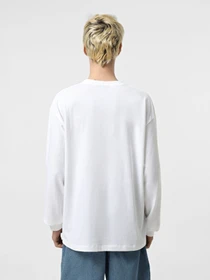Худи и свитшоты Vans Premium модель VN000P55WHT1 Фото