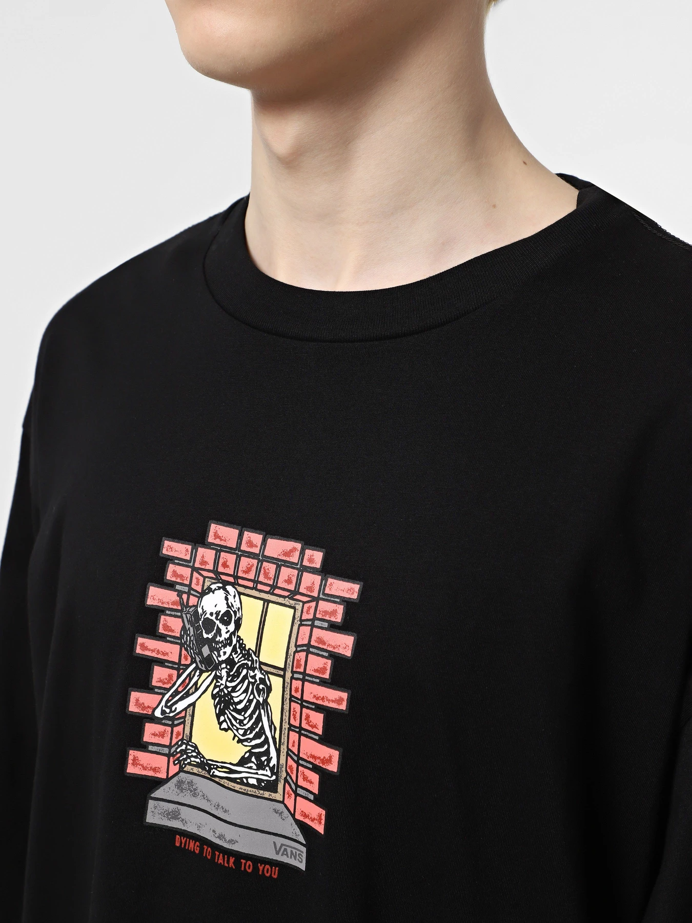 Худі та світшоти Vans Skull Window модель VN000M6WBLK1 Фото