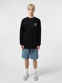 Худі та світшоти Vans Try Hard модель VN000M65BLK1 Фото
