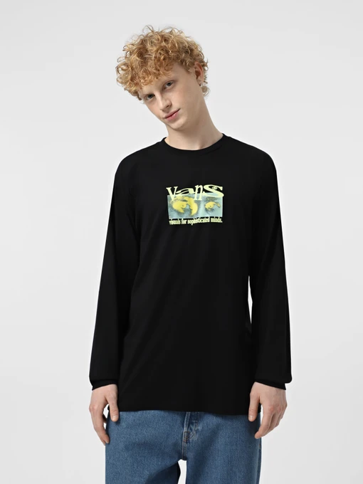 Худі та світшоти Vans Visual Minds модель VN000M5KBLK1 Фото