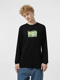 Худи и свитшоты Vans Visual Minds модель VN000M5KBLK1 Фото