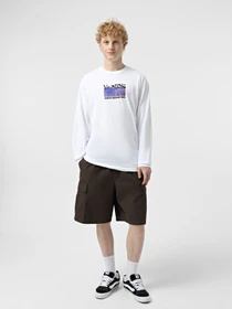 Худи и свитшоты Vans Visual Minds модель VN000M5KWHT1 Фото