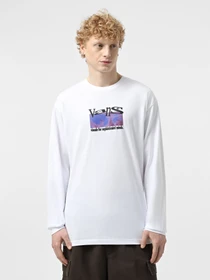 Худи и свитшоты Vans Visual Minds модель VN000M5KWHT1 Фото