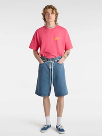 Шорты Vans Check-5 Denim модель VN000C9VCDX1 Фото