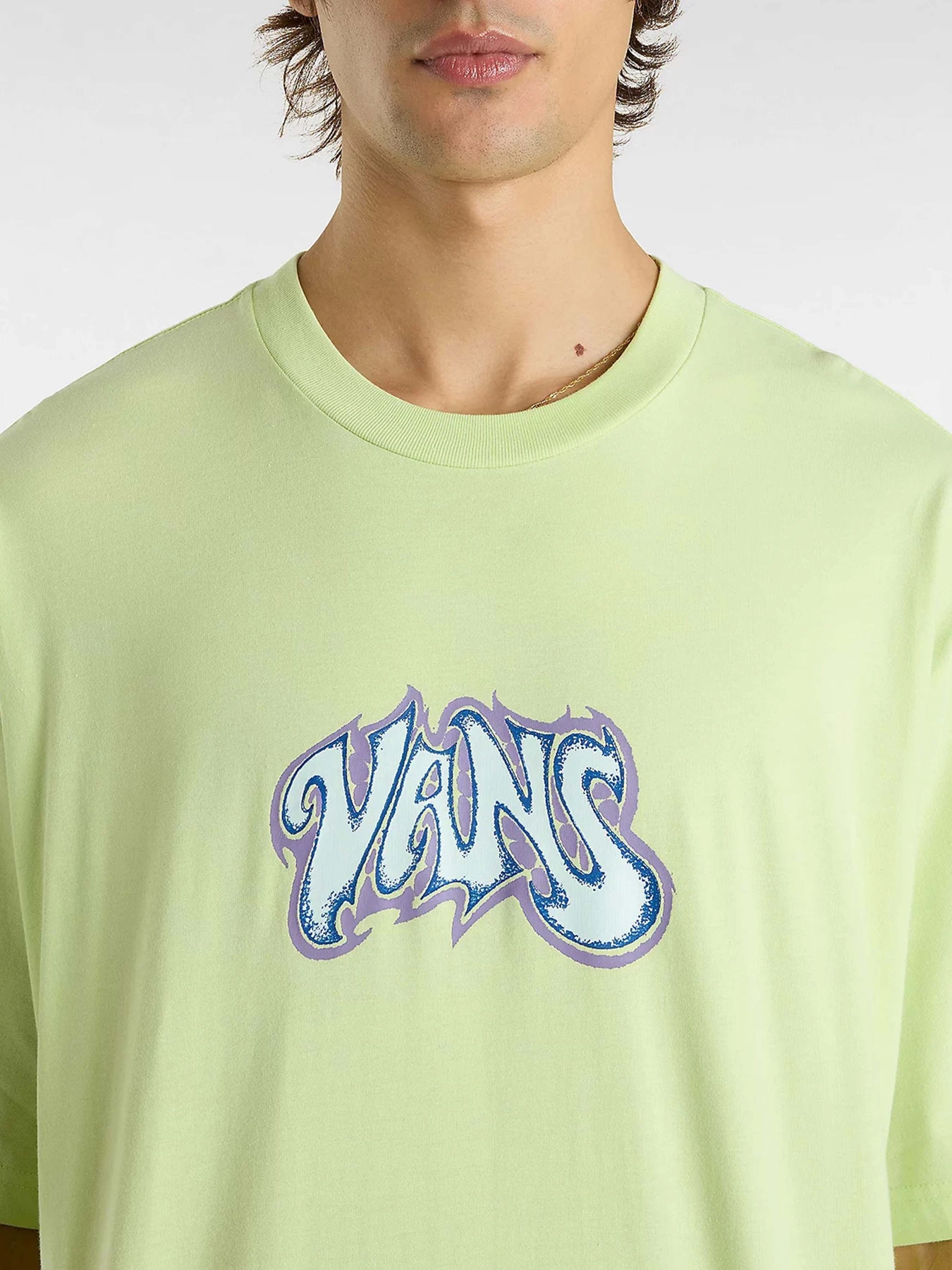 Футболки и поло Vans Hissterik модель VN000M5JCLH1 Футболки и поло Vans Hissterik модель VN000M5JCLH1 Фото